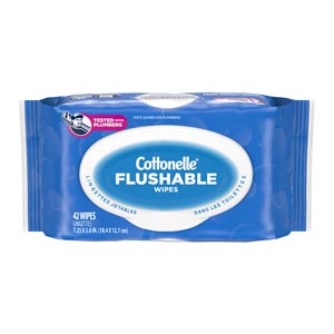 Image - Cleansing Cloths, Flushable, Refill 42 Count, 12/cs